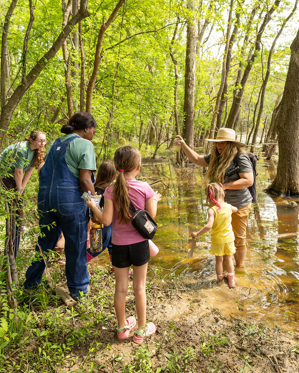 NatureSchool_Homepage
